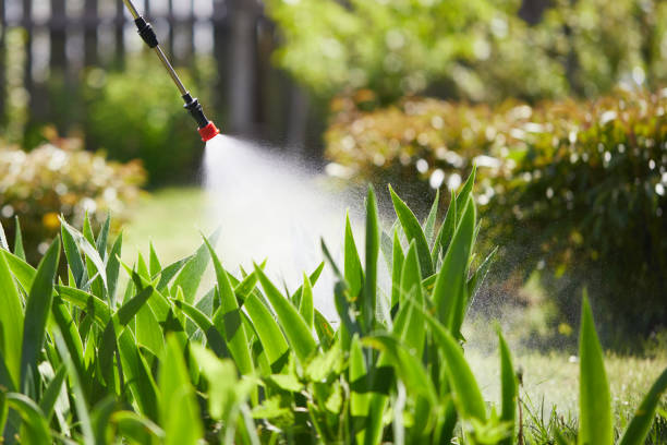 24/7 Emergency Fumigation Services experts in Rockwell City, IA